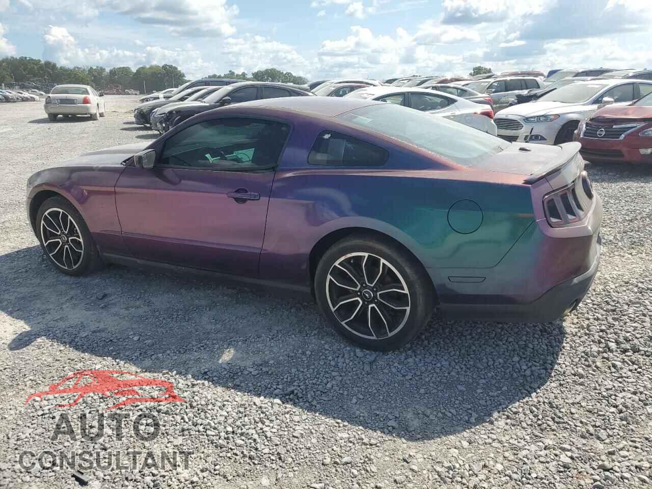 FORD MUSTANG 2011 - 1ZVBP8CF5B5117062