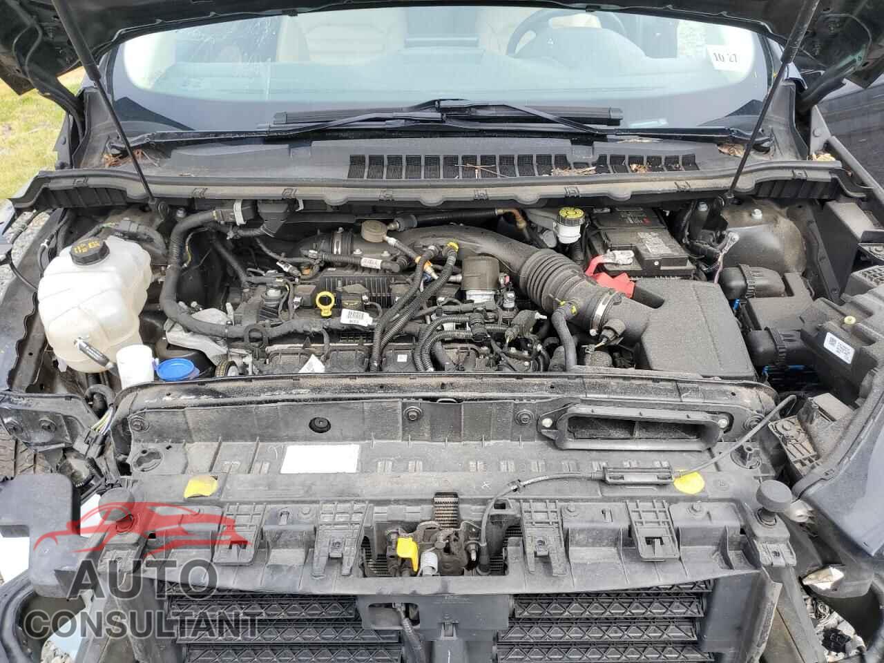 FORD EDGE 2022 - 2FMPK4J96NBA93251