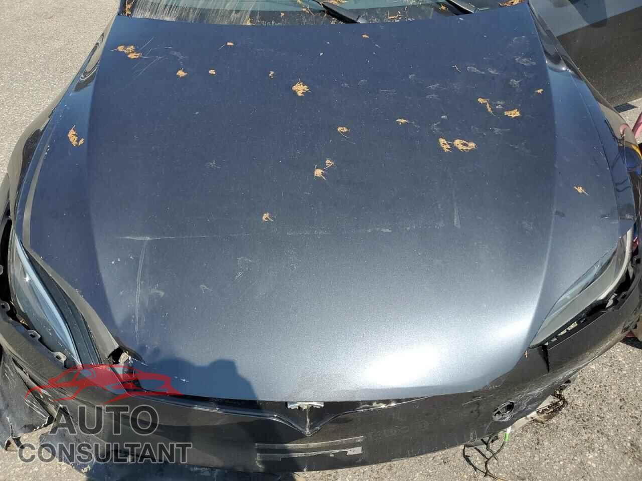 TESLA MODEL S 2024 - 5YJSA1E59RF537173