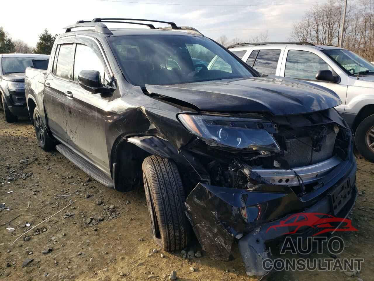 HONDA RIDGELINE 2017 - 5FPYK3F89HB034356