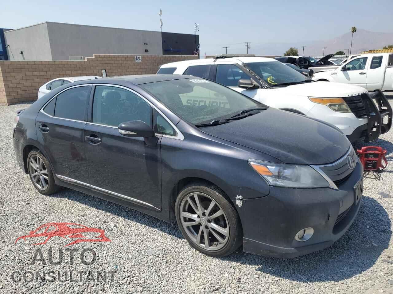 LEXUS HS 2010 - JTHBB1BA8A2013503