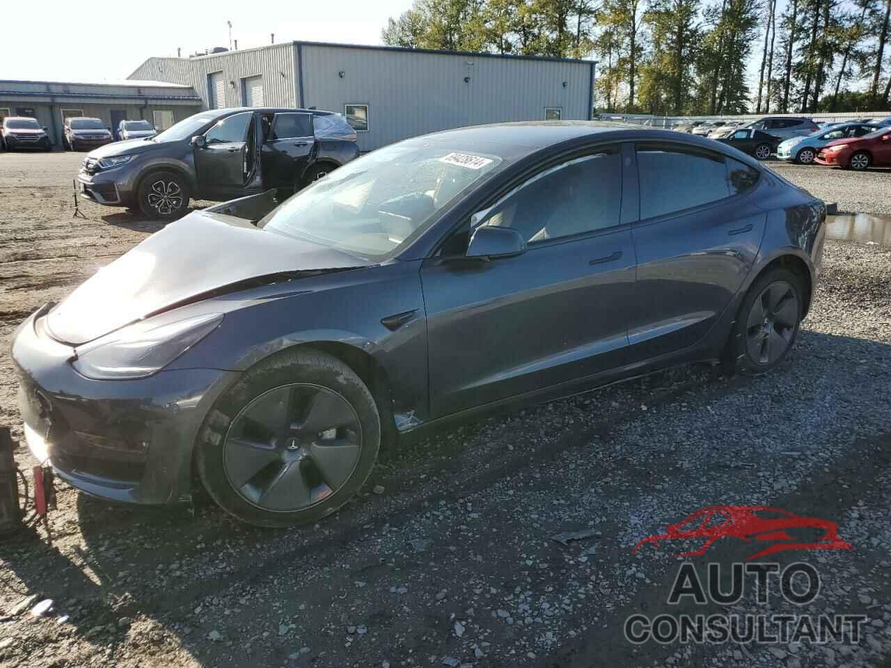 TESLA MODEL 3 2022 - 5YJ3E1EB8NF359474