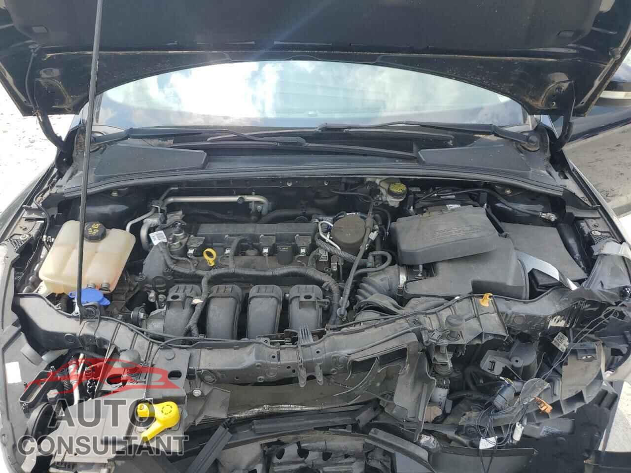 FORD FOCUS 2016 - 1FADP3F2XGL248567