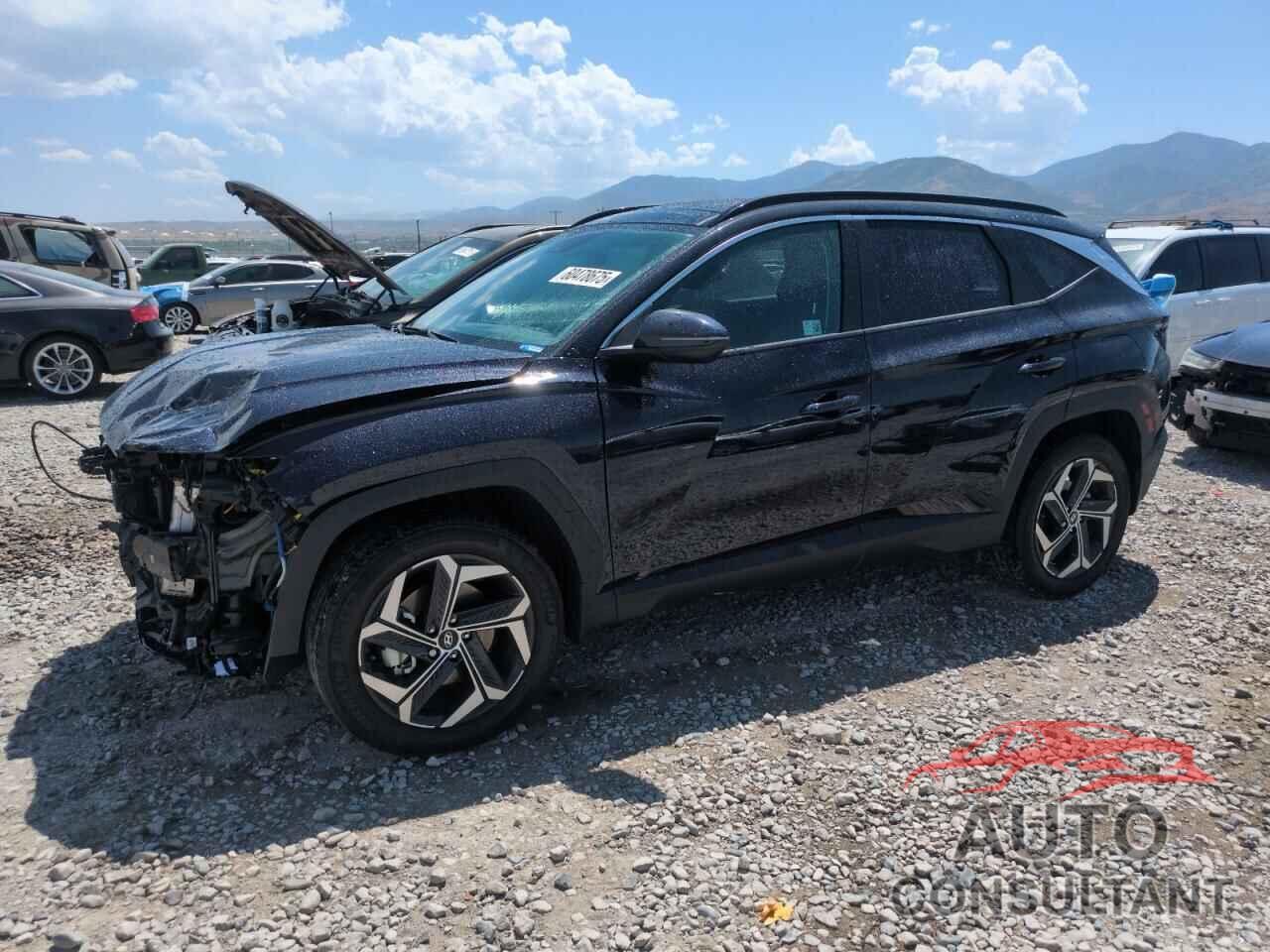 HYUNDAI TUCSON 2024 - KM8JCCD17RU191191