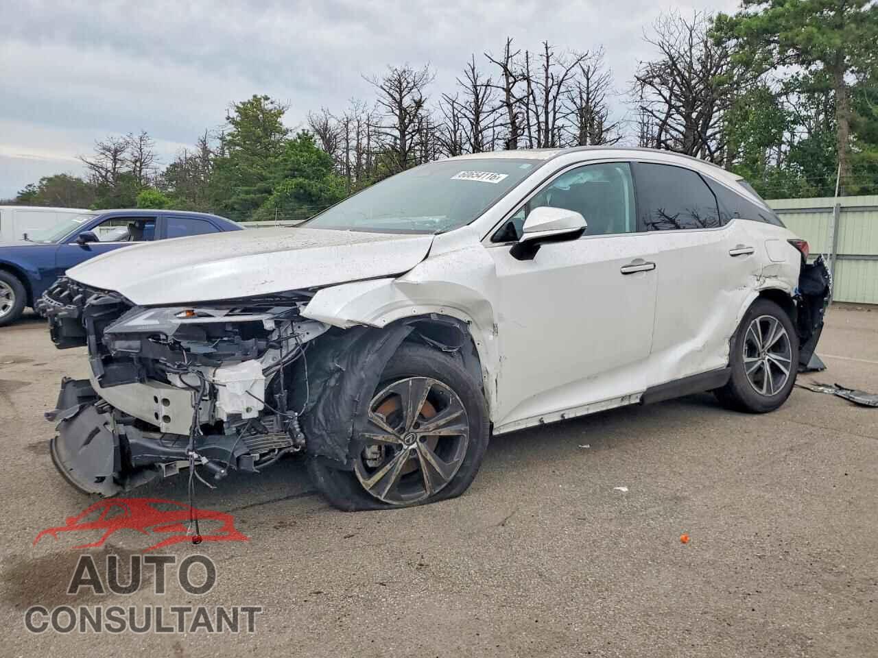 LEXUS UNKNOWN 2024 - 2T2BBMCA6RC046090