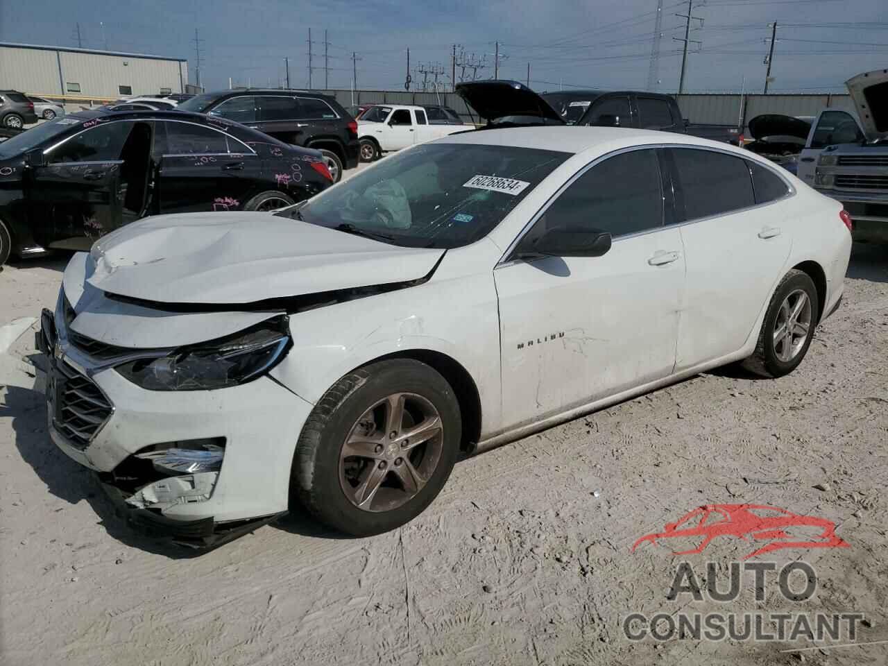 CHEVROLET MALIBU 2019 - 1G1ZB5ST7KF189910