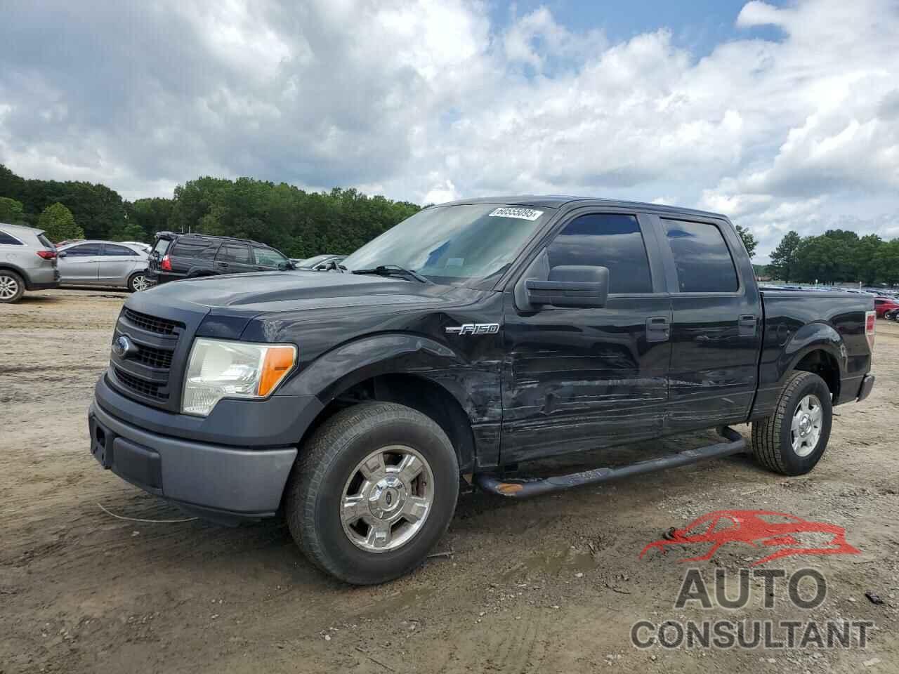 FORD F-150 2013 - 1FTEW1CMXDKE93088