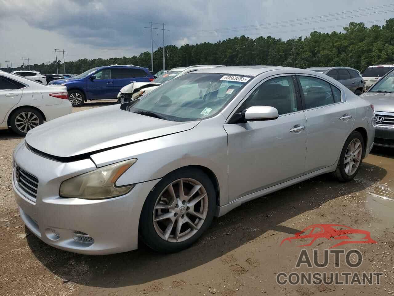 NISSAN MAXIMA 2011 - 1N4AA5AP2BC829993