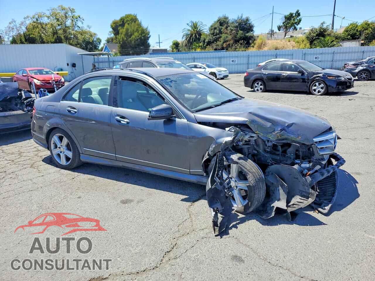 MERCEDES-BENZ C-CLASS 2010 - WDDGF8BB7AF518847