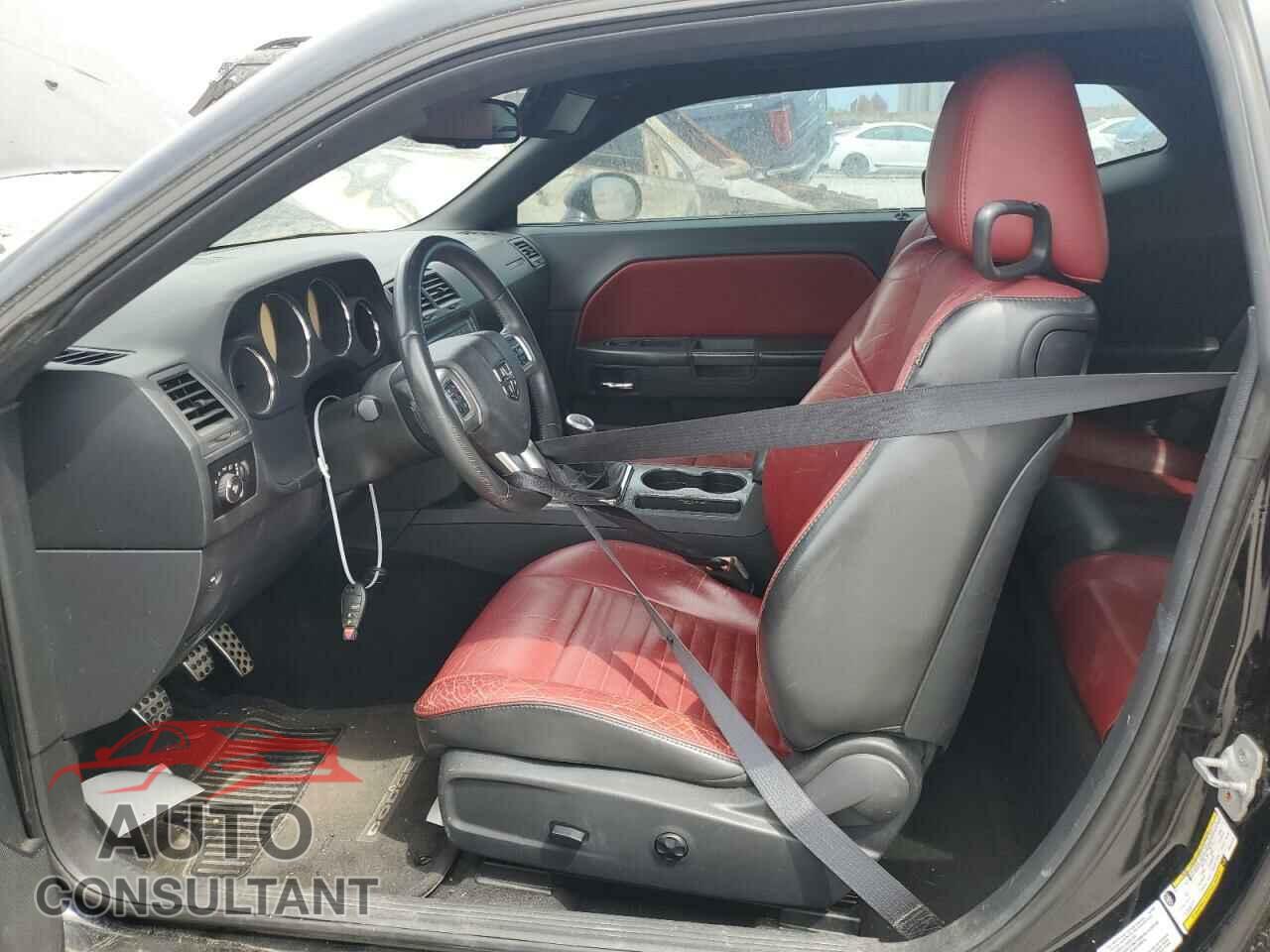 DODGE CHALLENGER 2013 - 2C3CDYBT9DH501515