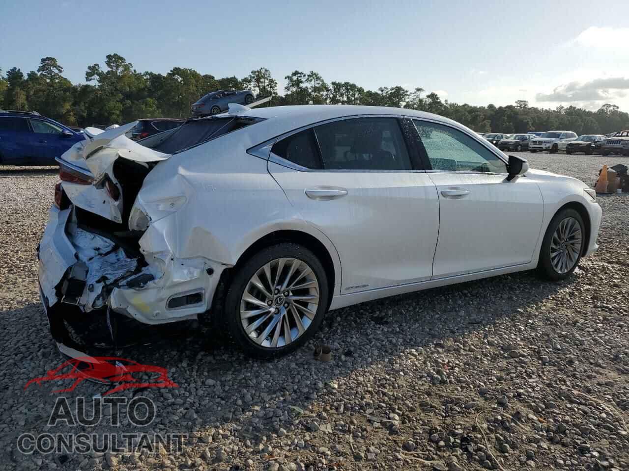 LEXUS ES300 2020 - 58AF21B16LU011571