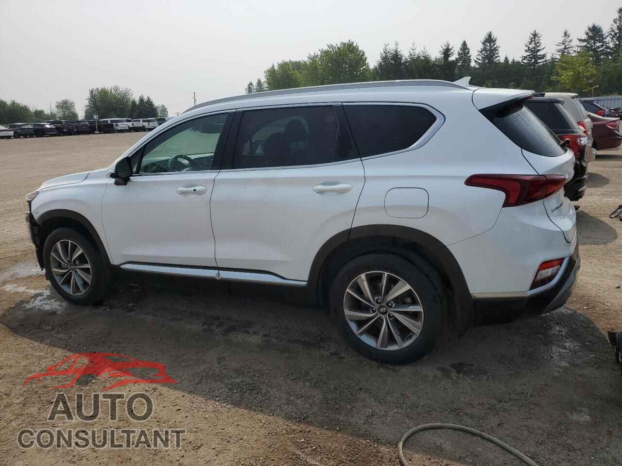HYUNDAI SANTA FE 2019 - 5NMS3CAD9KH008457
