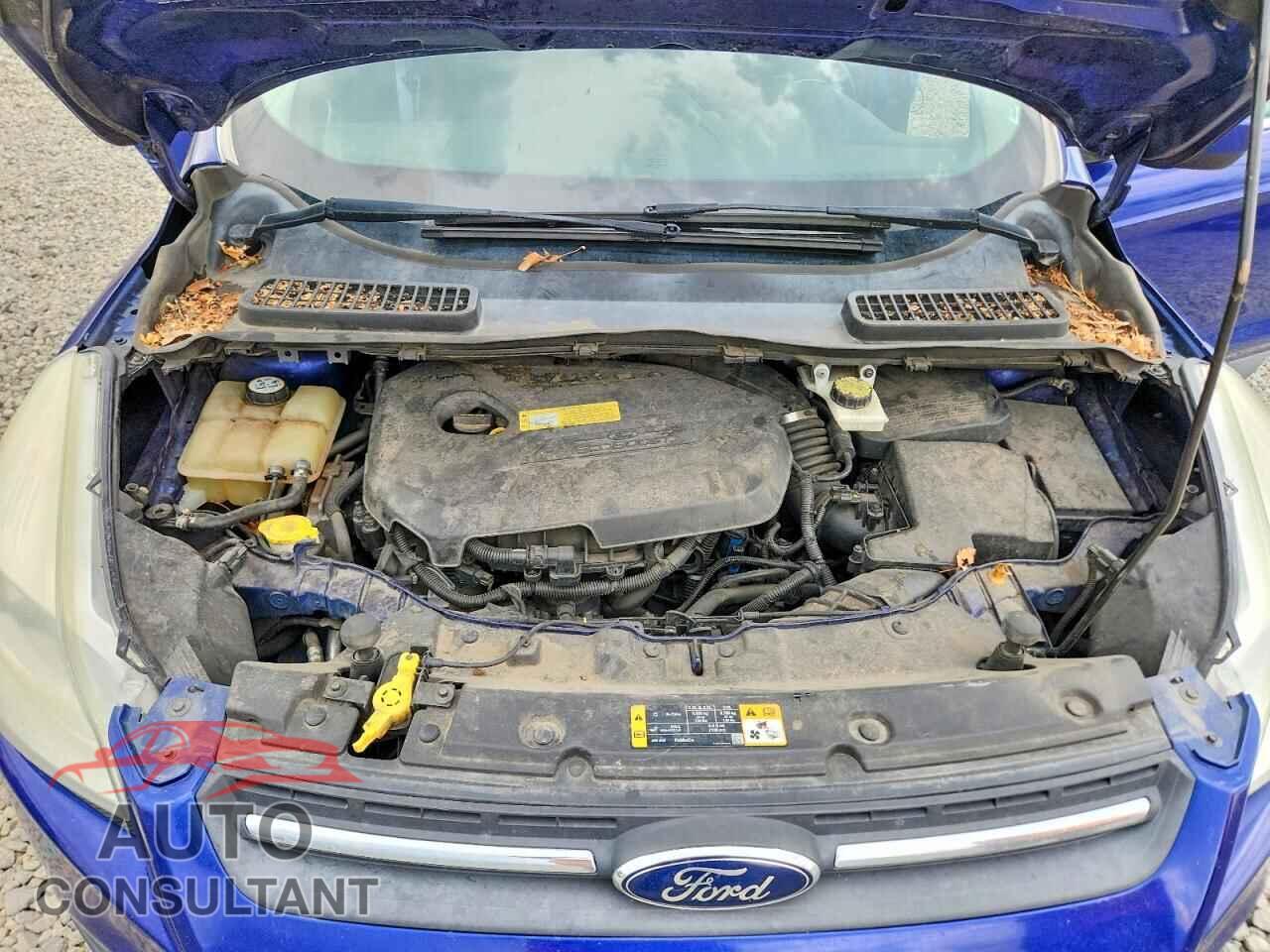 FORD ESCAPE 2013 - 1FMCU9GXXDUA91989