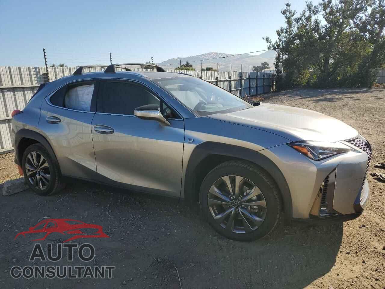 LEXUS UX 200 2019 - JTHY3JBH3K2003564