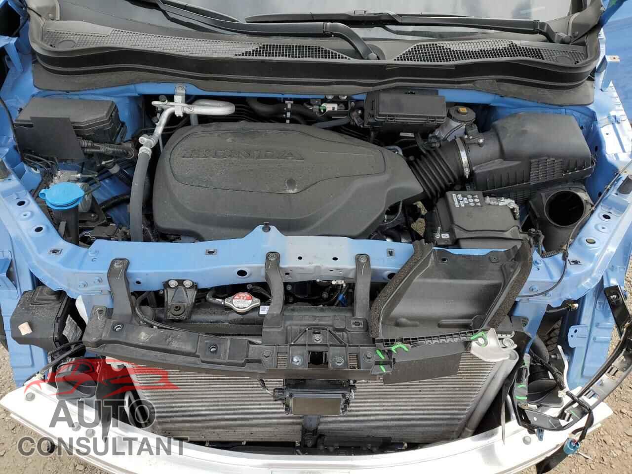 HONDA RIDGELINE 2024 - 5FPYK3F60RB026792