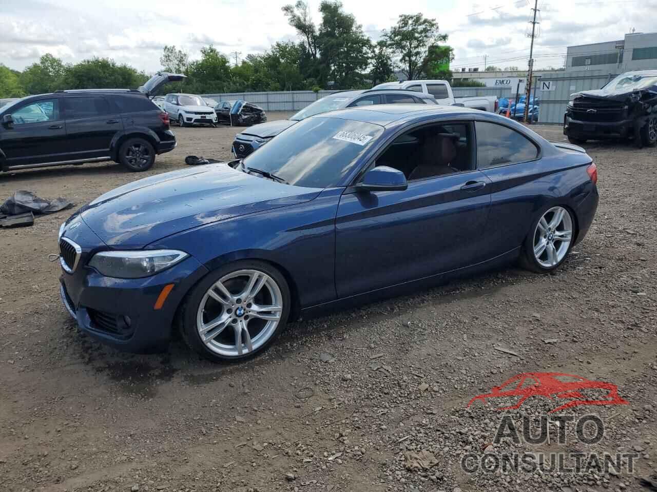 BMW 2 SERIES 2015 - WBA1G9C50FVX96463