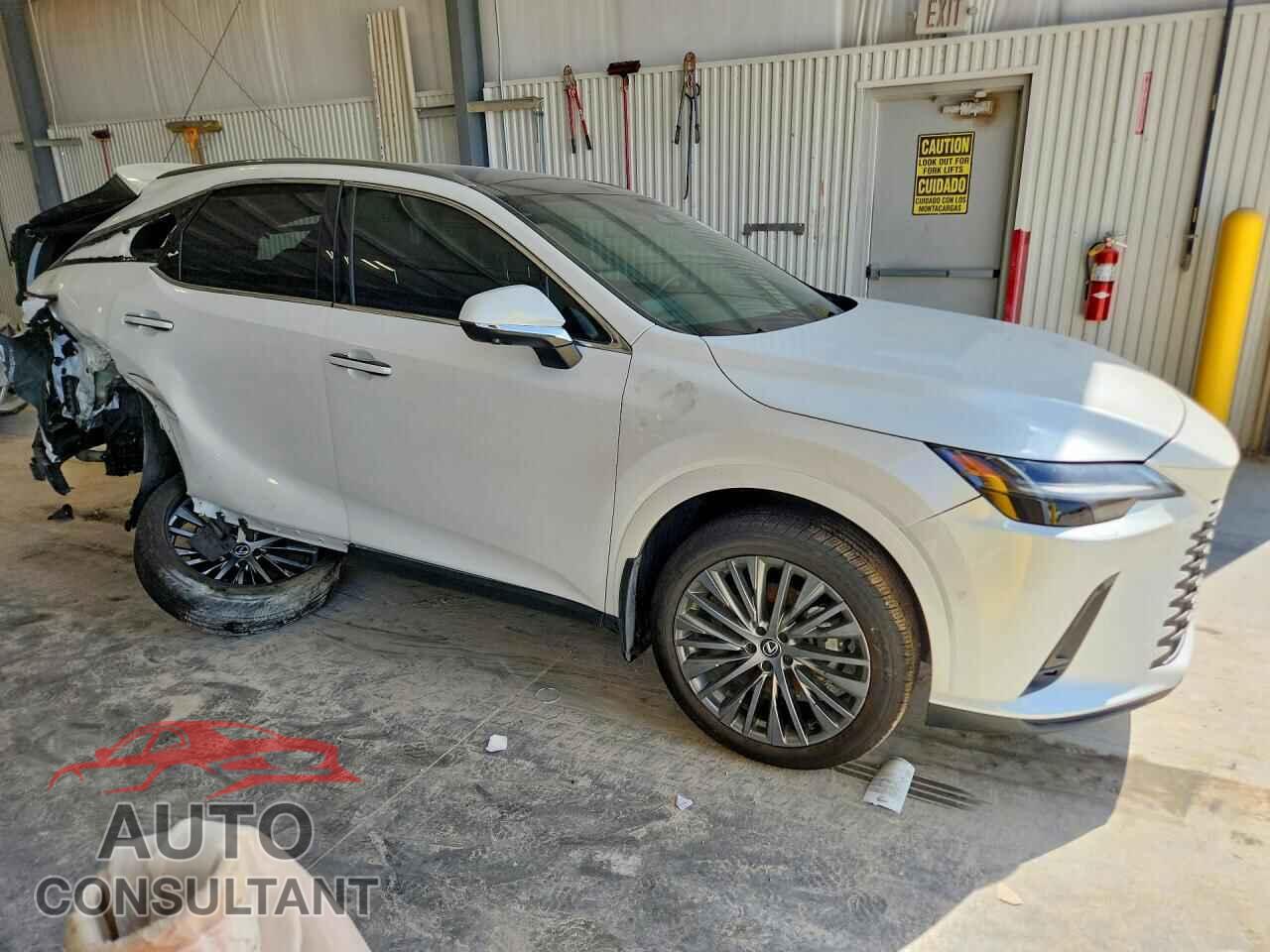 LEXUS RX350 2024 - 2T2BAMCA4RC043384