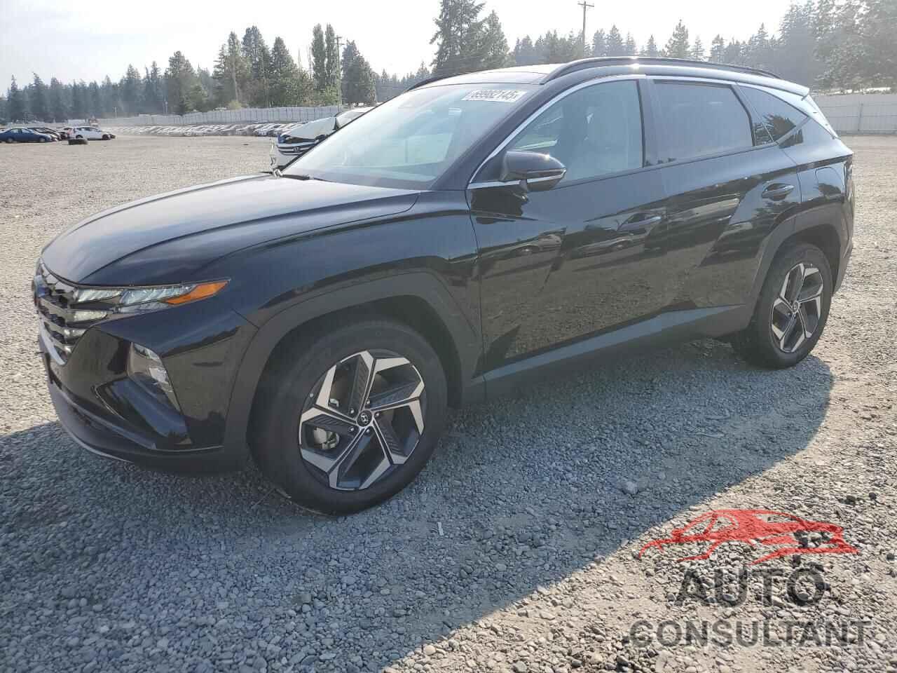 HYUNDAI TUCSON 2024 - KM8JECD1XRU243438