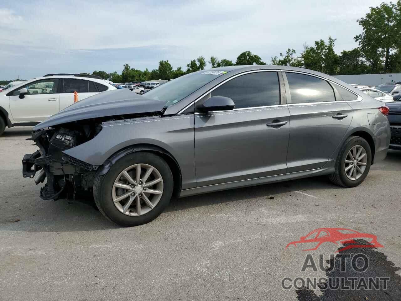 HYUNDAI SONATA 2019 - 5NPE24AF7KH739530