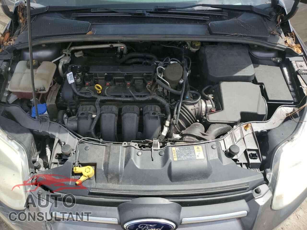 FORD FOCUS 2014 - 1FADP3F20EL435992