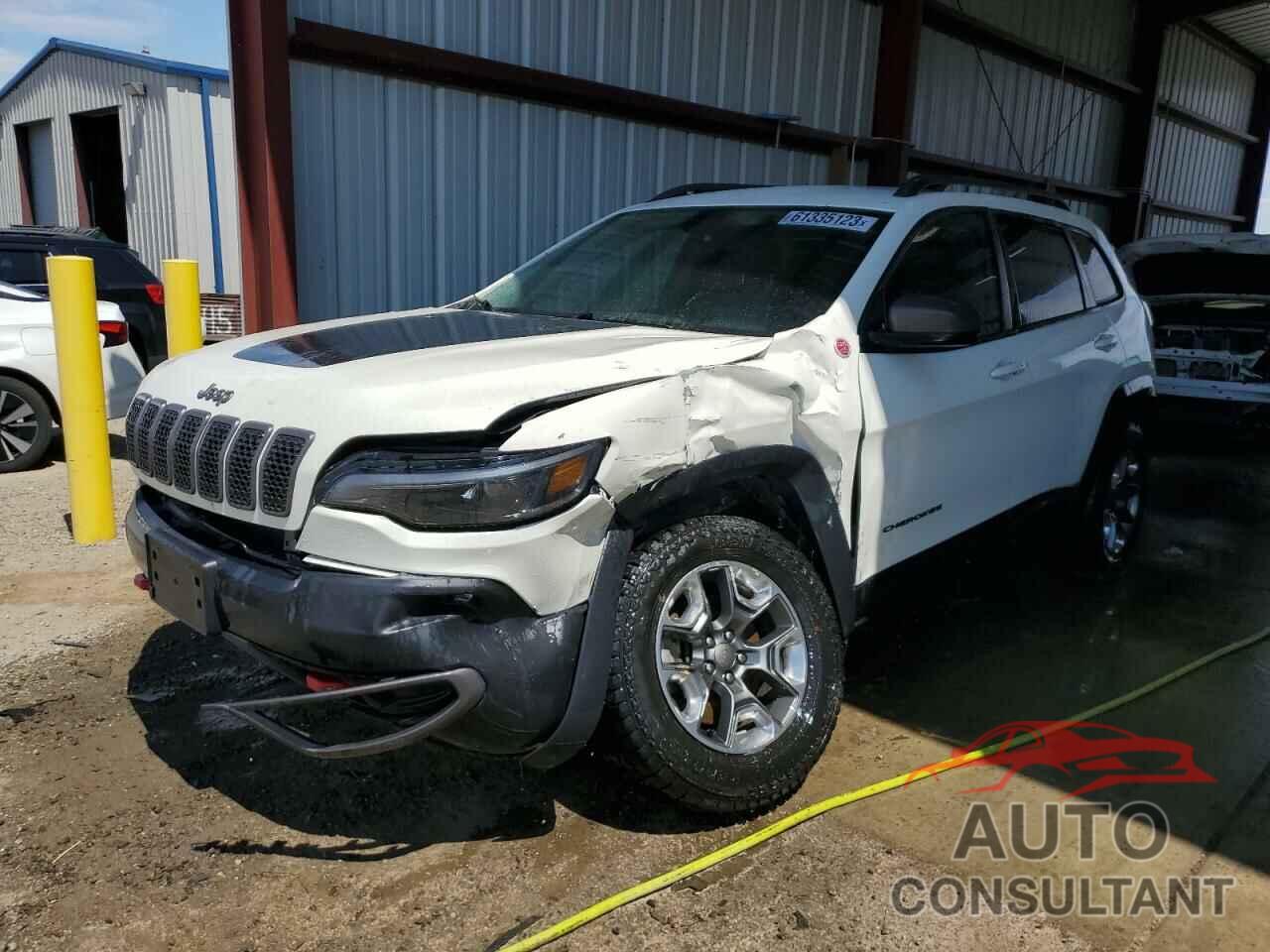 JEEP CHEROKEE 2019 - 1C4PJMBX5KD198146