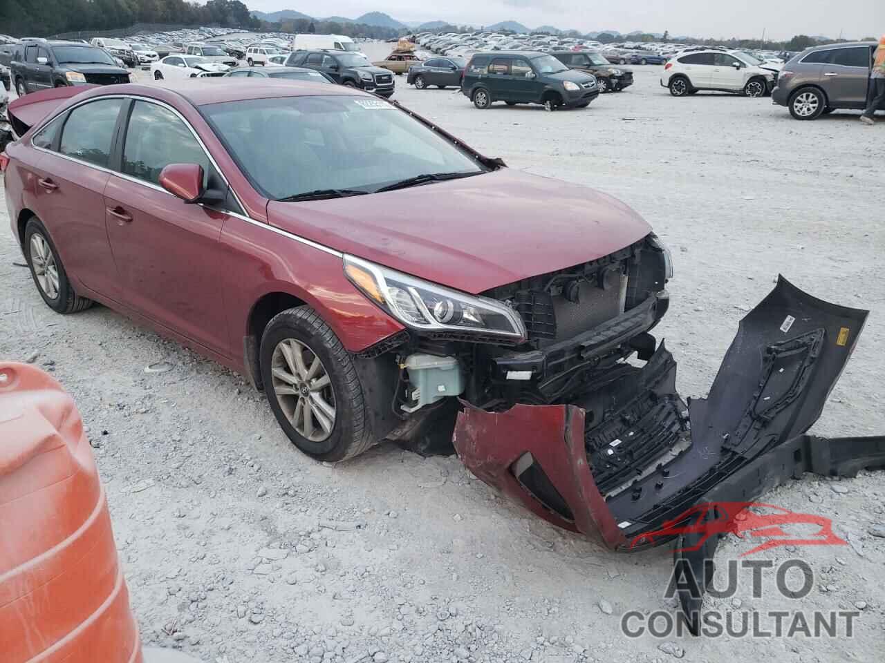 HYUNDAI SONATA 2016 - 5NPE24AFXGH381184