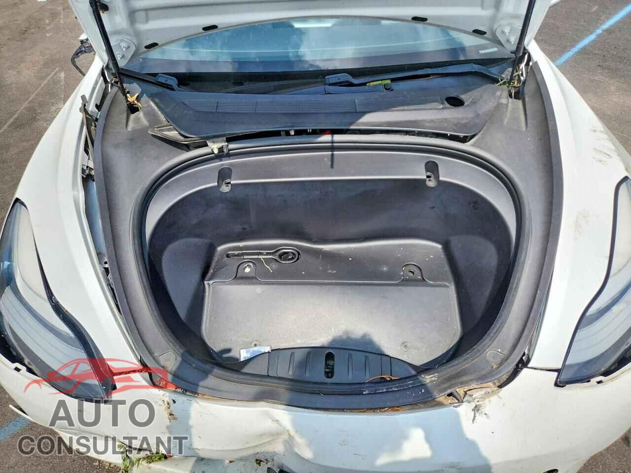 TESLA MODEL 3 2020 - 5YJ3E1EA0LF659076