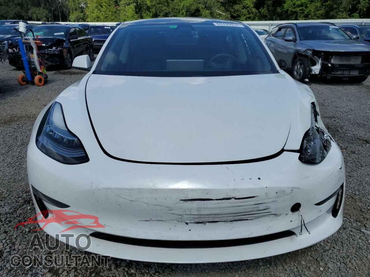 TESLA MODEL 3 2021 - 5YJ3E1EA9MF852019