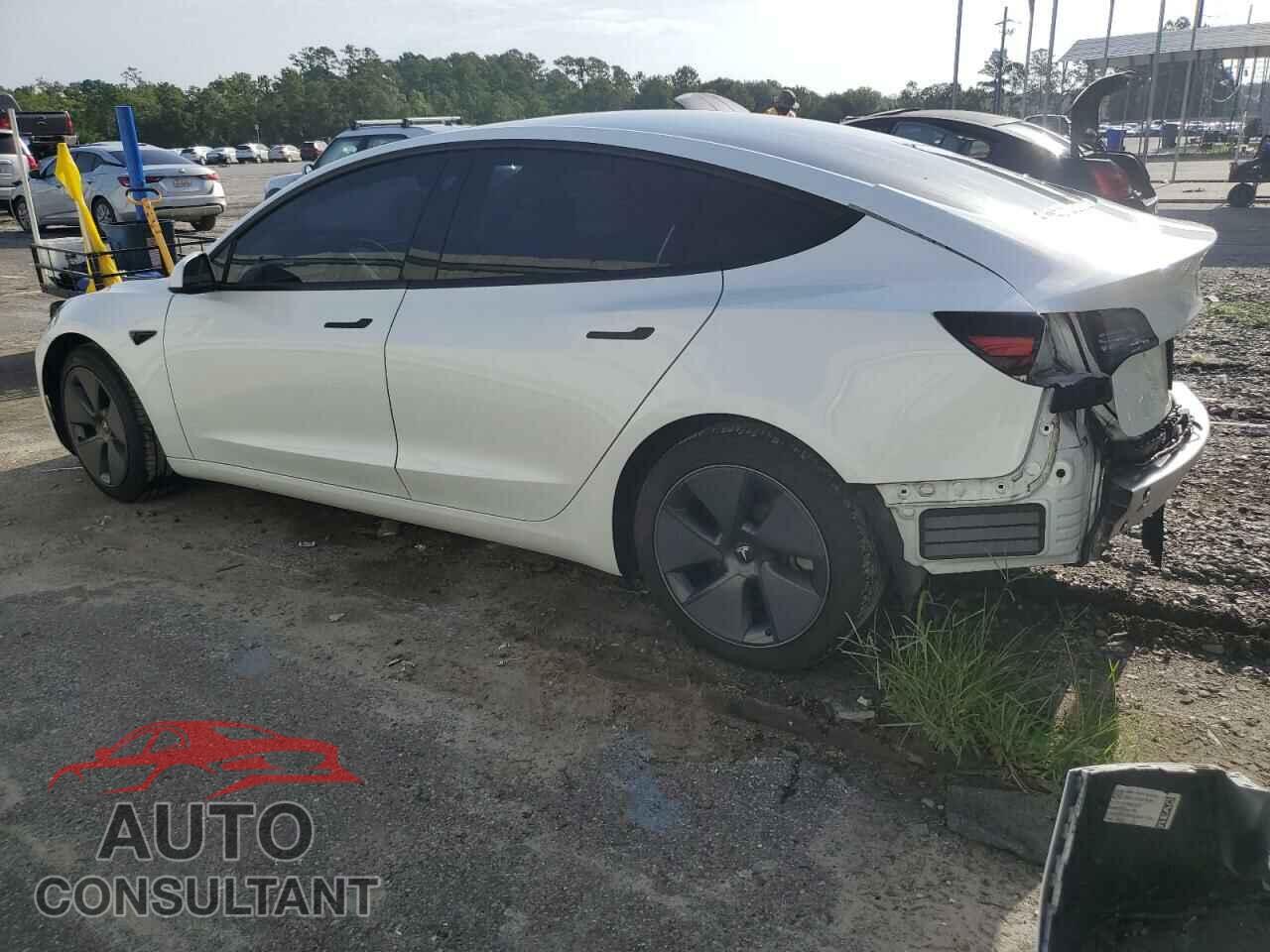 TESLA MODEL 3 2021 - 5YJ3E1EA1MF873818