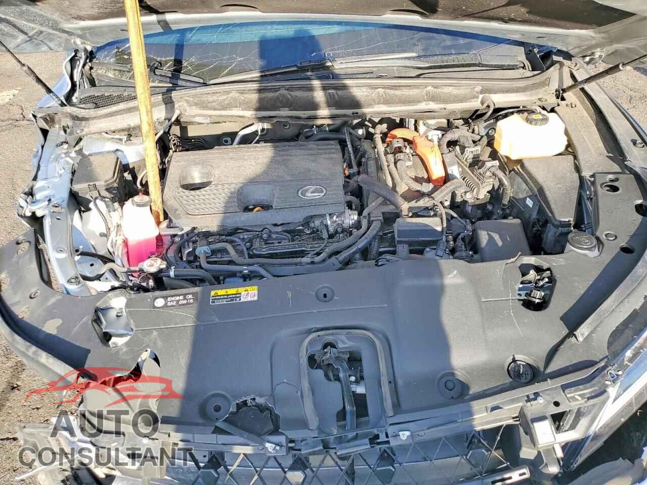 LEXUS UNKNOWN 2023 - 2T2BBMCA9PC009628