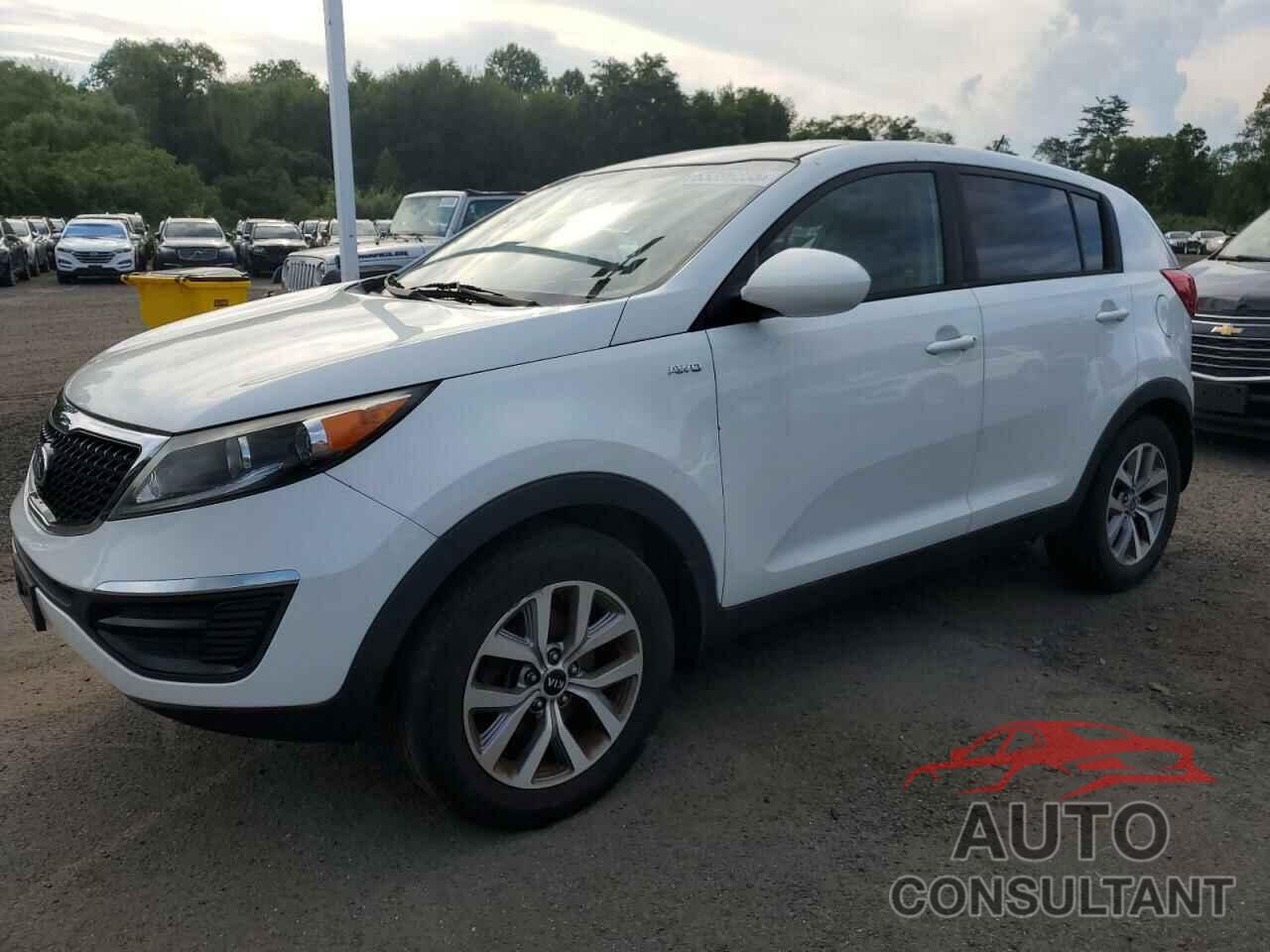 KIA SPORTAGE 2016 - KNDPBCAC9G7833817