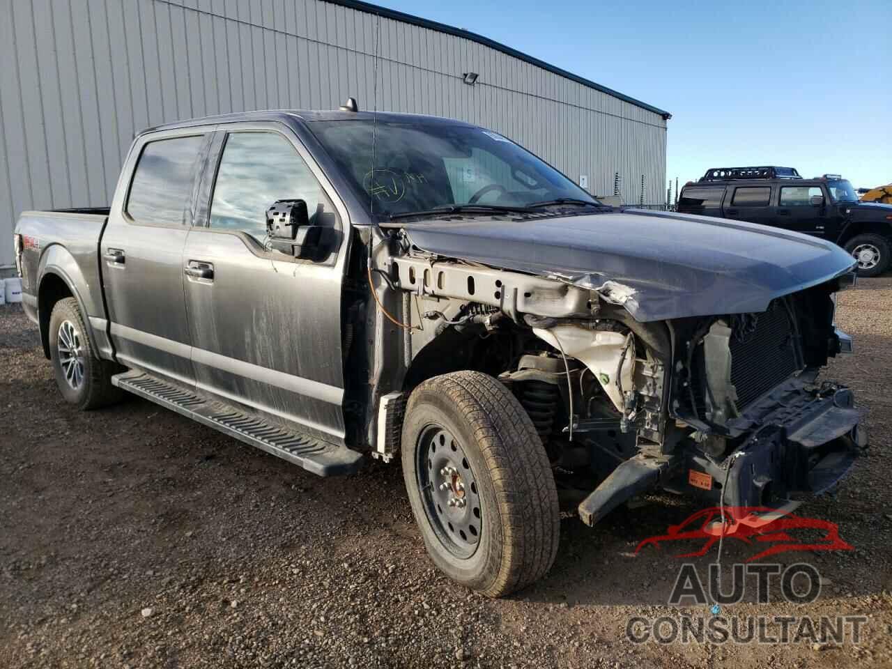 FORD F-150 2019 - 1FTEW1EP8KFB30589