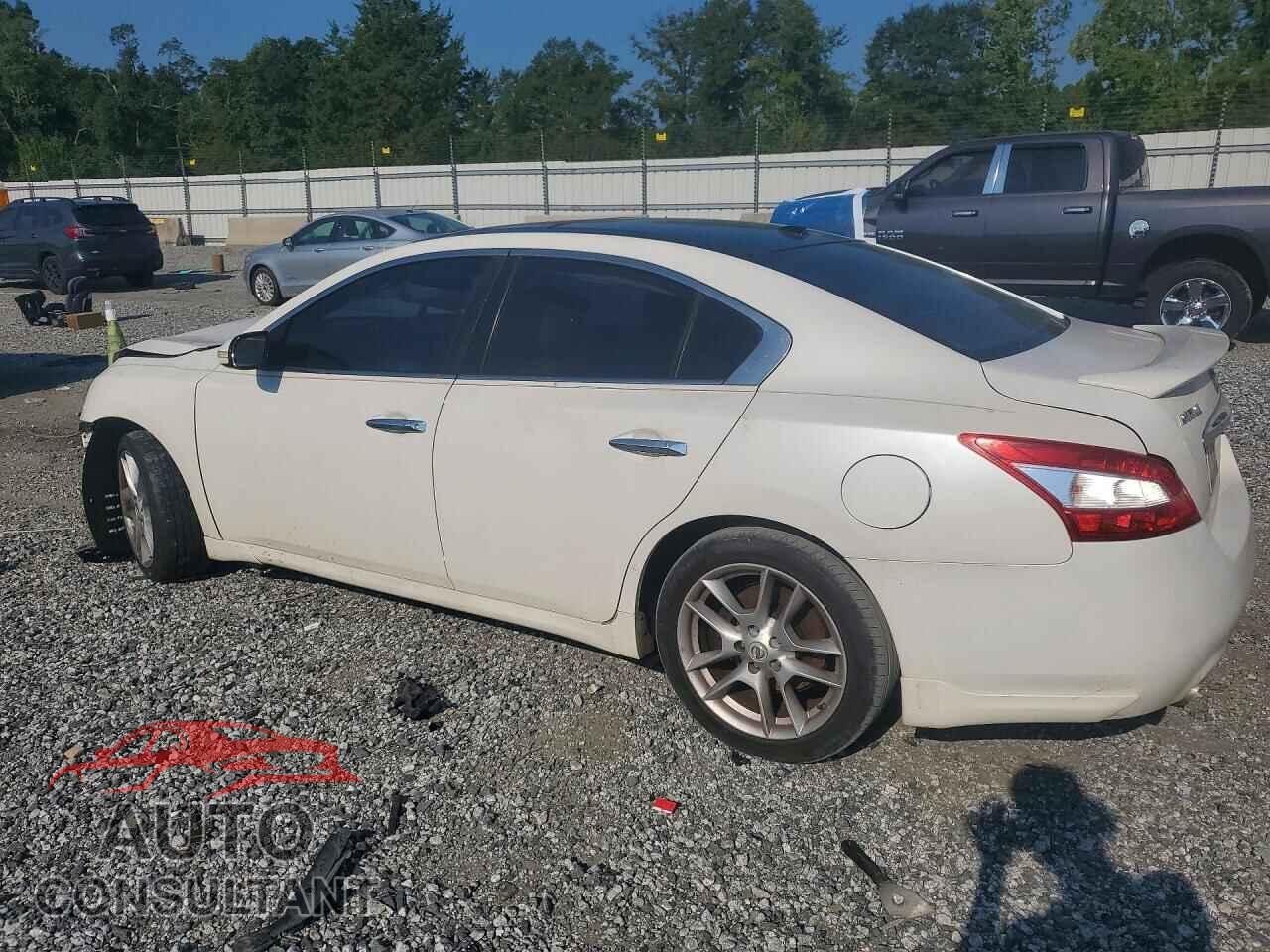 NISSAN MAXIMA 2009 - 1N4AA51E09C820735