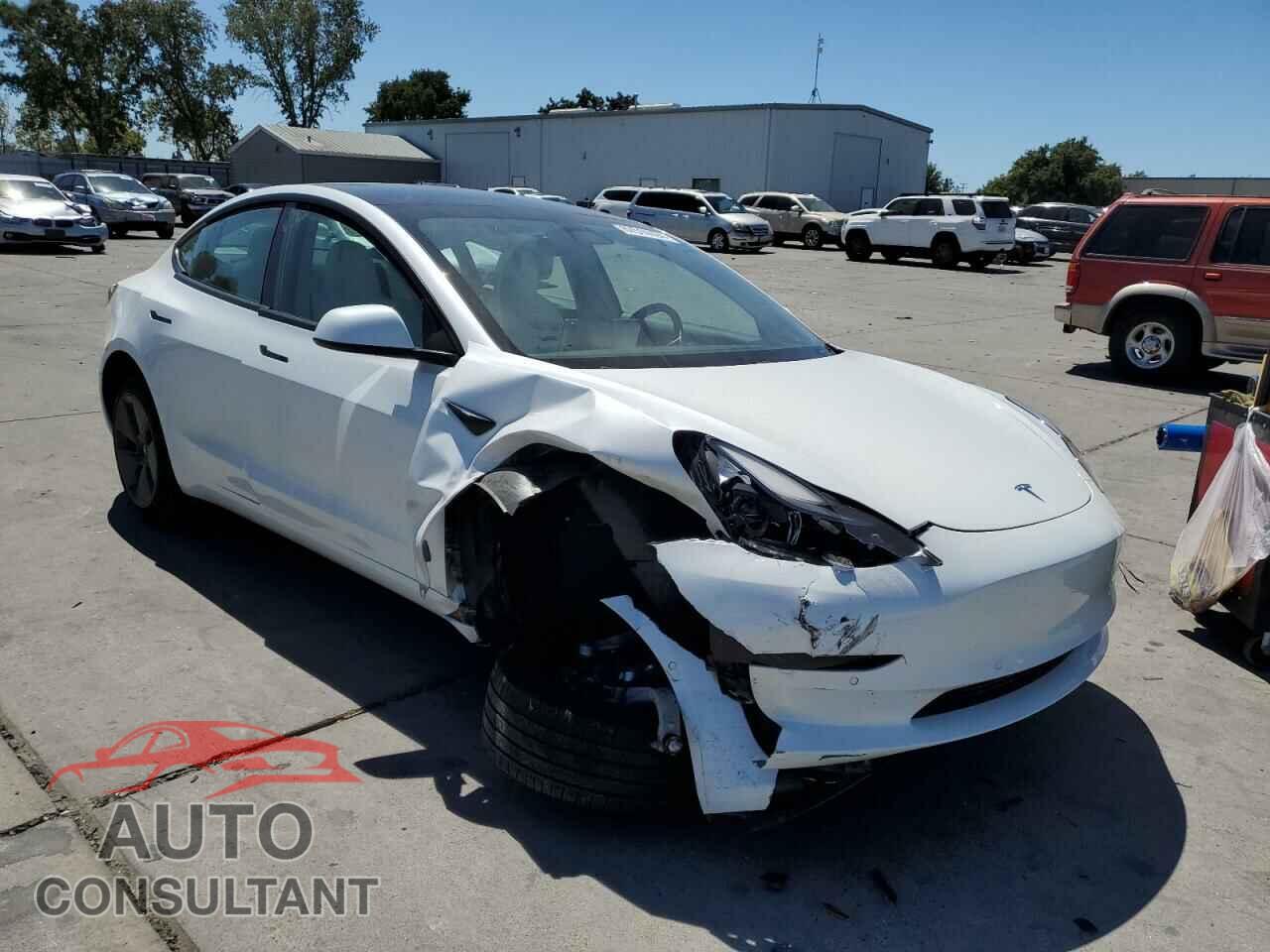TESLA MODEL 3 2021 - 5YJ3E1EA9MF000804
