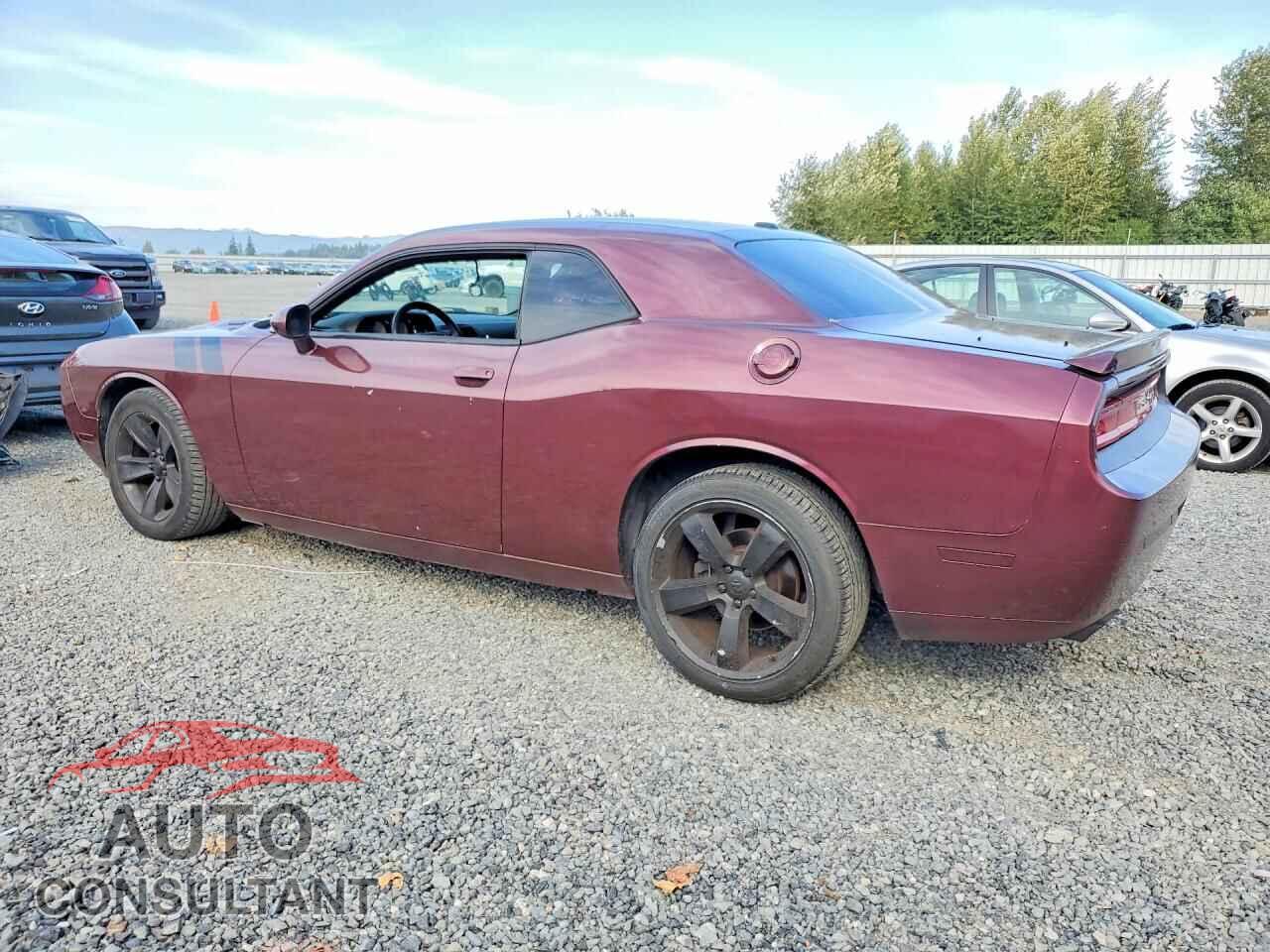 DODGE CHALLENGER 2014 - 2C3CDYBT2EH204510