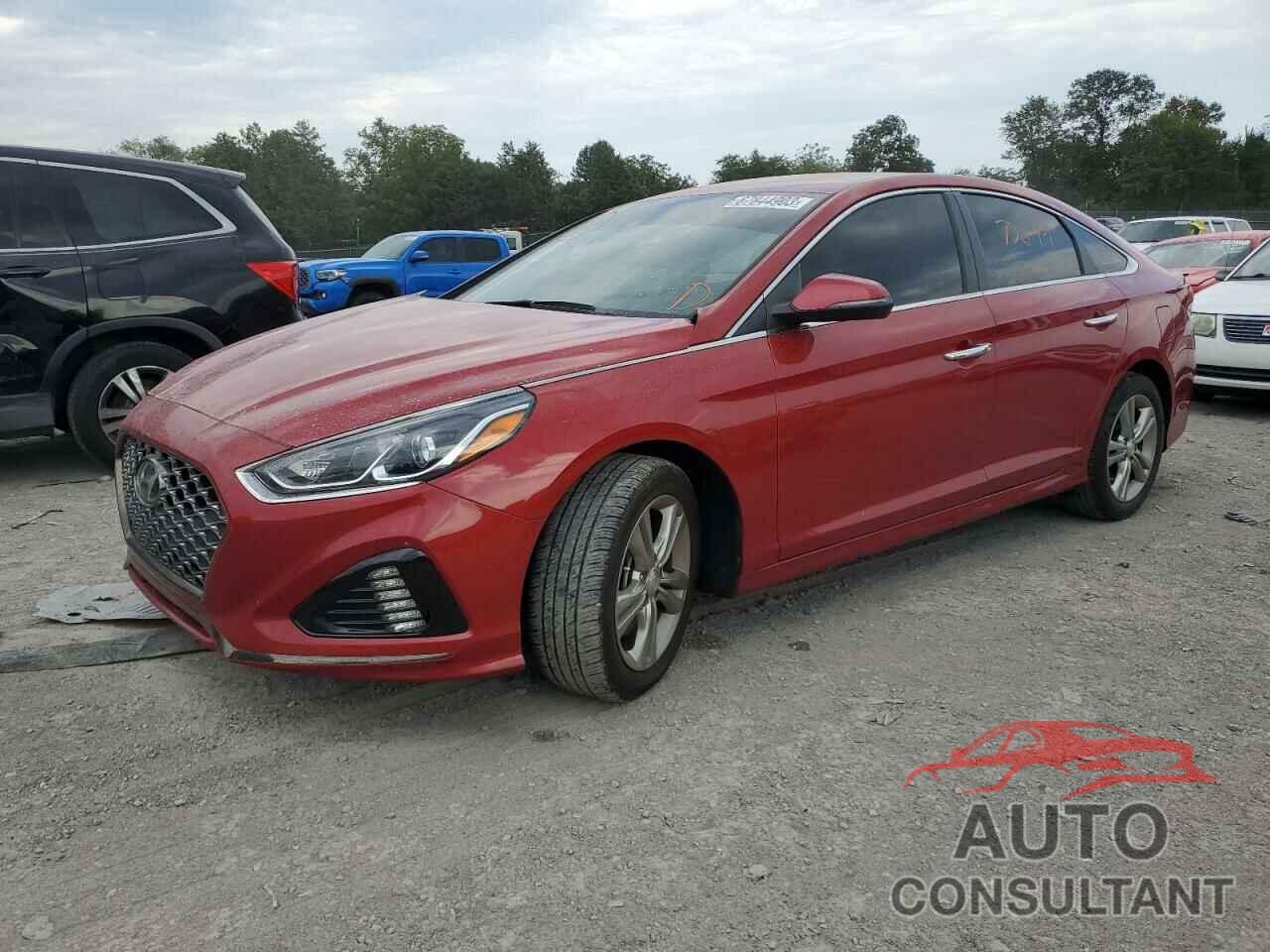 HYUNDAI SONATA 2019 - 5NPE34AF5KH791848