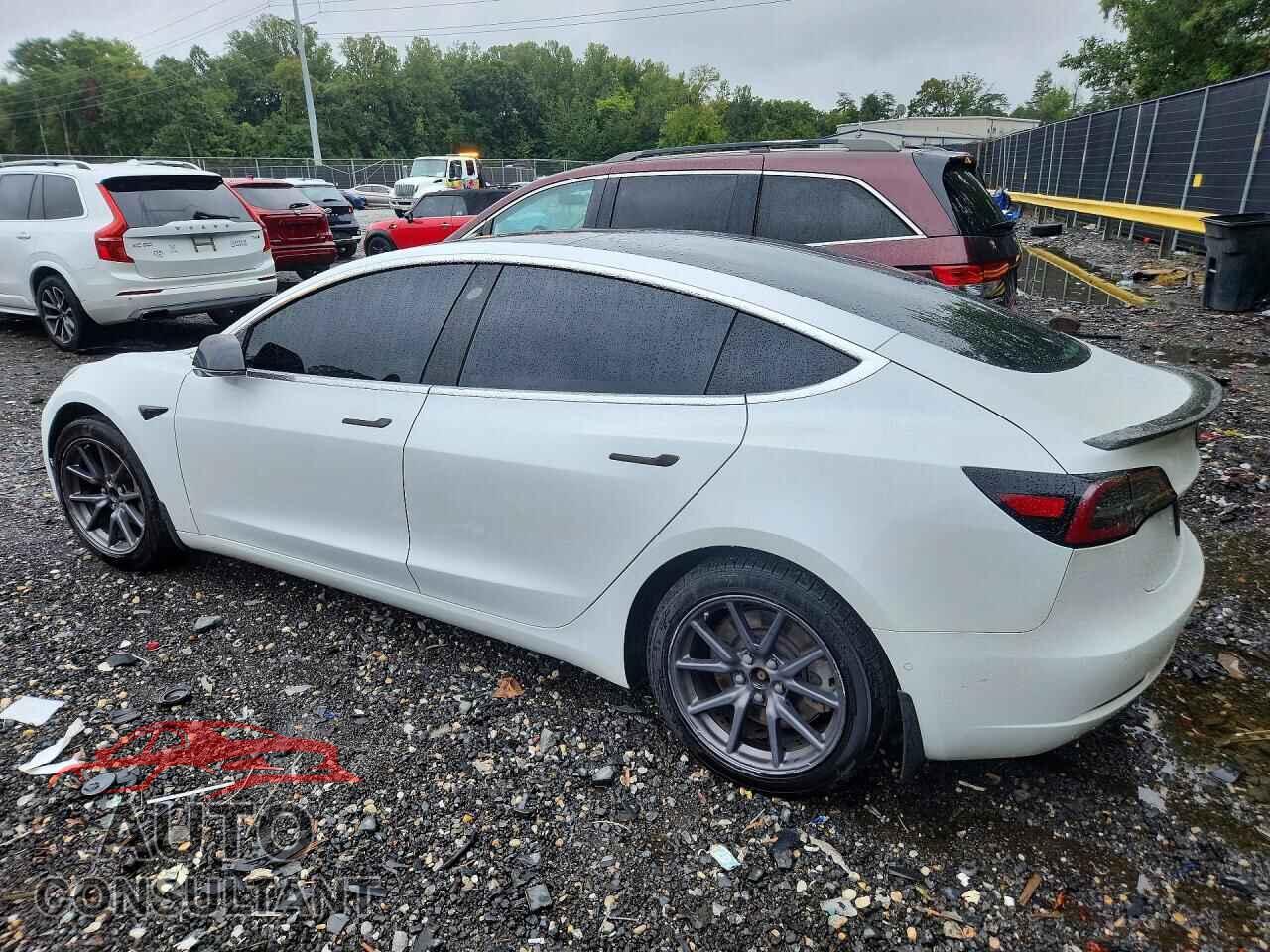 TESLA MODEL 3 2019 - 5YJ3E1EA1KF299900