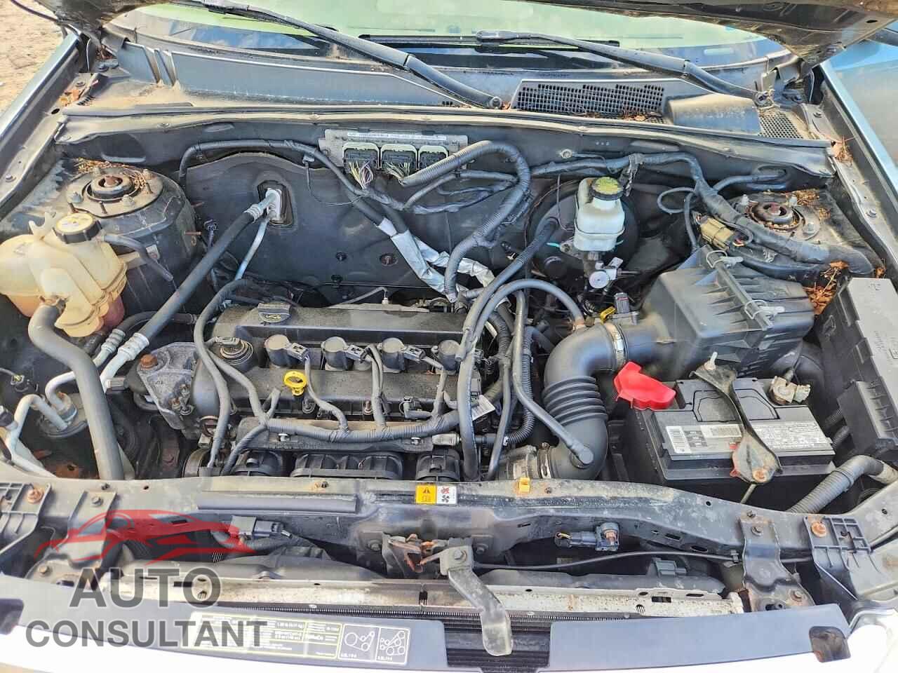 FORD ESCAPE 2011 - 1FMCU0E76BKC12962