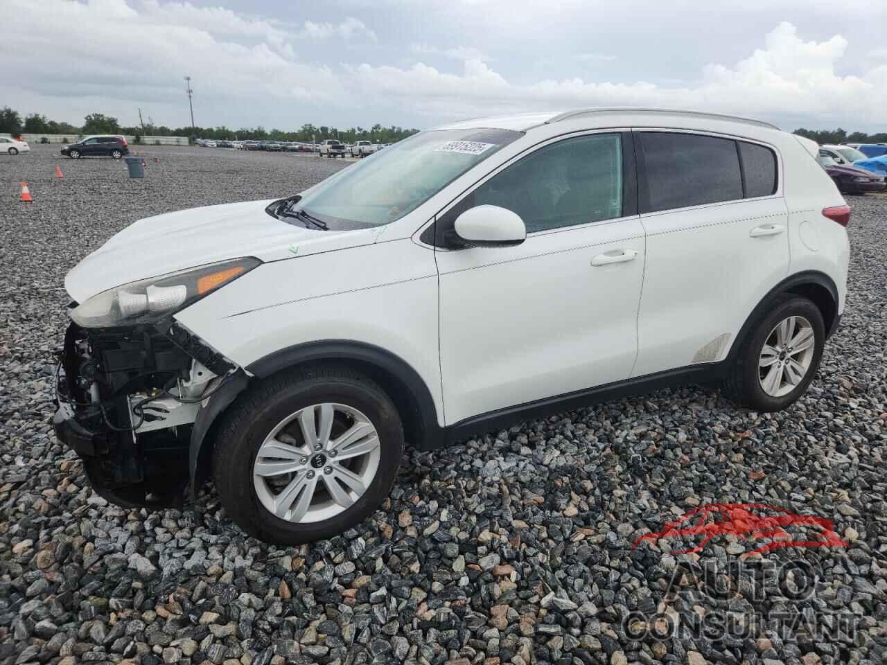 KIA SPORTAGE 2019 - KNDPM3AC2K7495311
