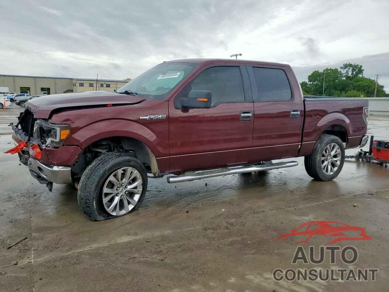 FORD F-150 2009 - 1FTRW128X9FA32446