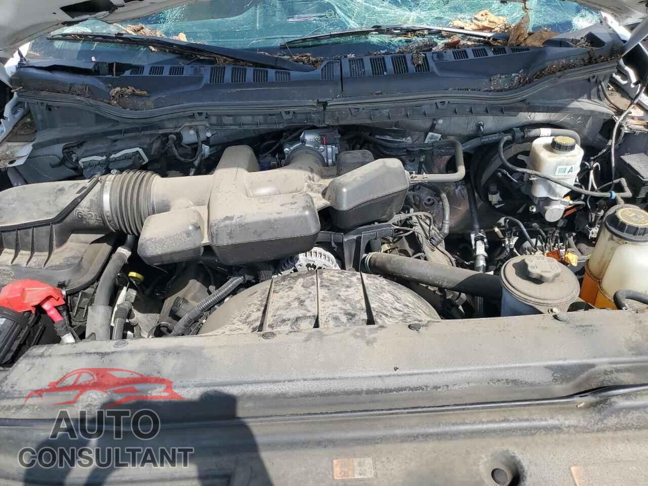 FORD F250 2019 - 1FTBF2B61KEE53375