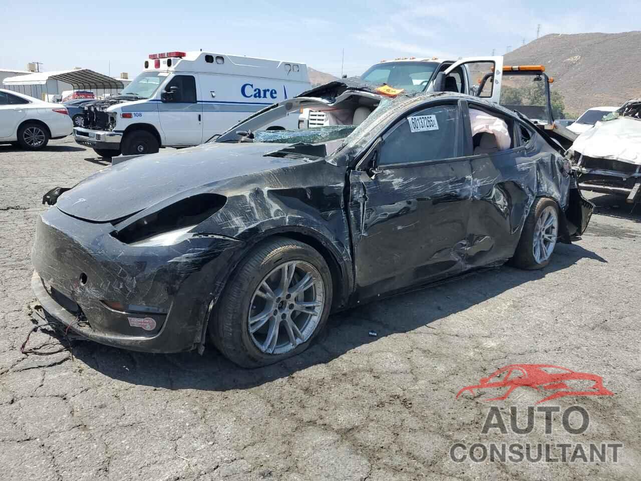 TESLA MODEL Y 2024 - 7SAYGDEE2RA237856