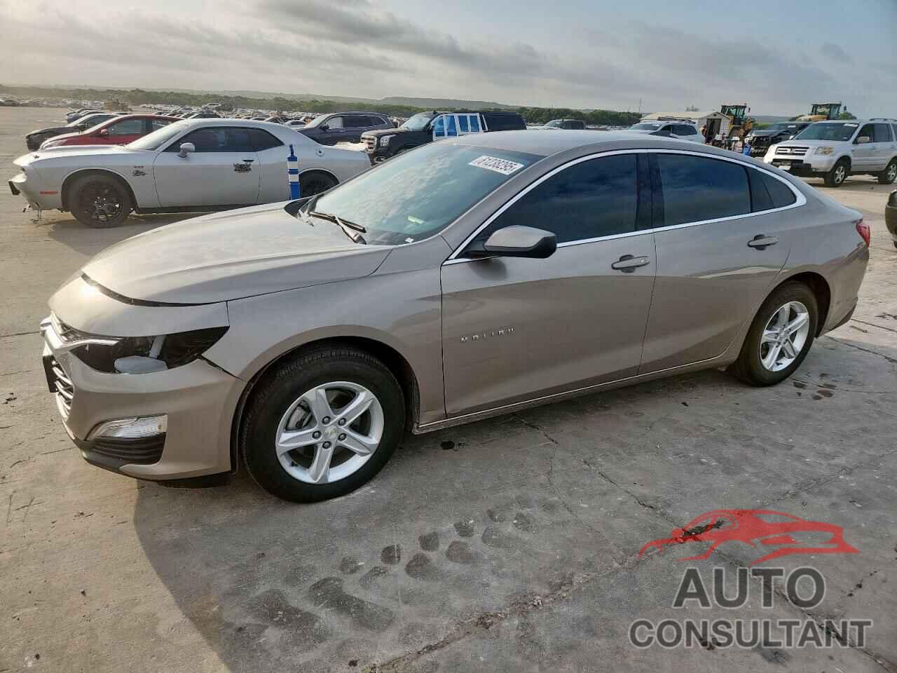 CHEVROLET MALIBU 2024 - 1G1ZB5ST3RF251734