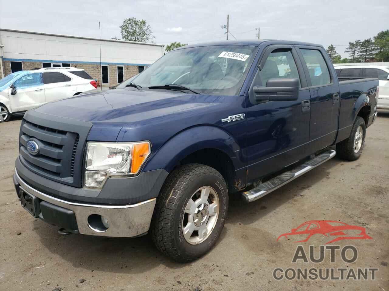 FORD F-150 2009 - 1FTRW14889FB41601