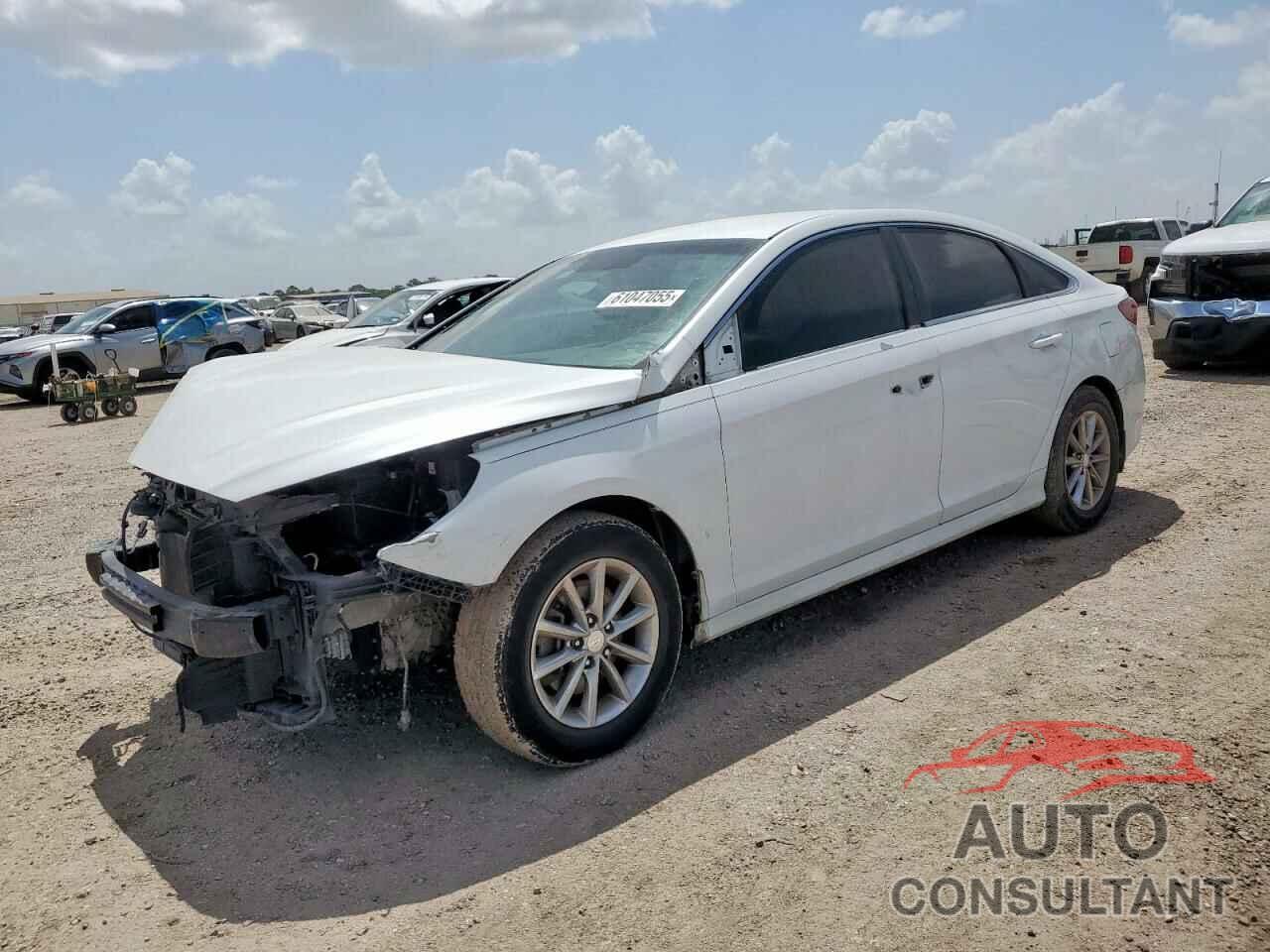 HYUNDAI SONATA 2018 - 5NPE24AF5JH629090