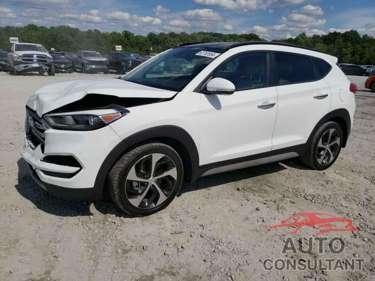 HYUNDAI TUCSON 2017 - KM8J33A29HU556949