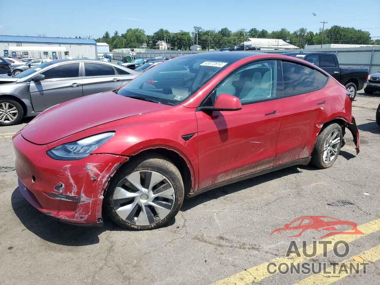 TESLA MODEL Y 2021 - 5YJYGDEE7MF231026