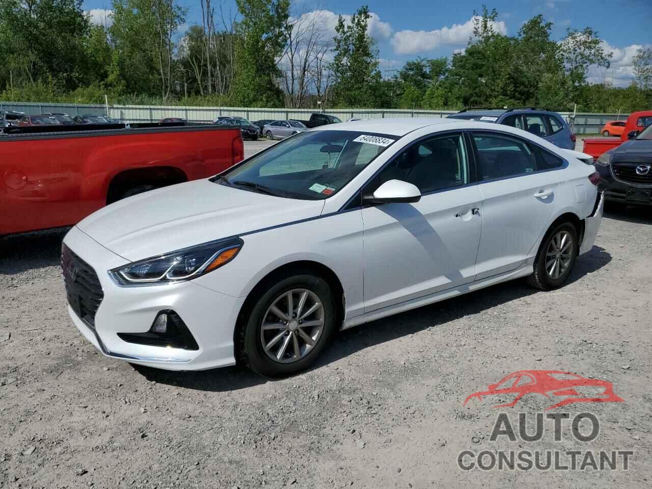 HYUNDAI SONATA 2019 - 5NPE24AFXKH784798