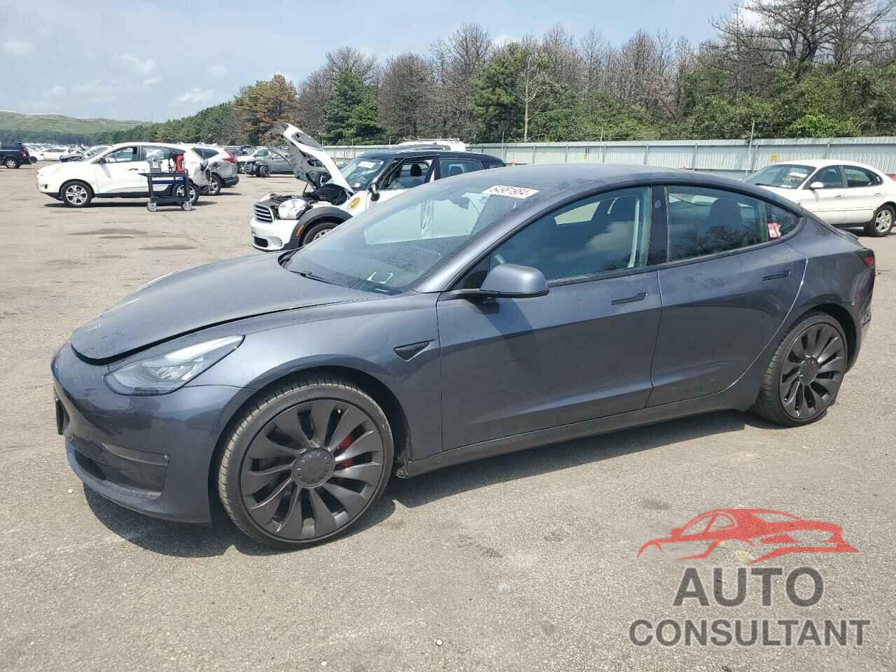 TESLA MODEL 3 2019 - 5YJ3E1EB1KF438741