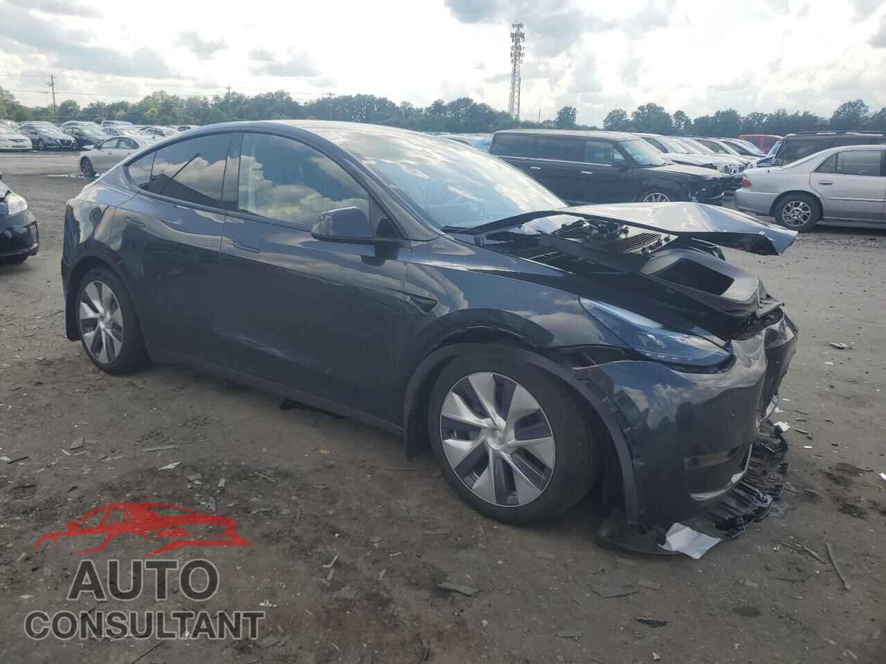 TESLA MODEL Y 2024 - 7SAYGAEE1RF989193